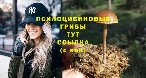 ALPHA-PVP Алзамай